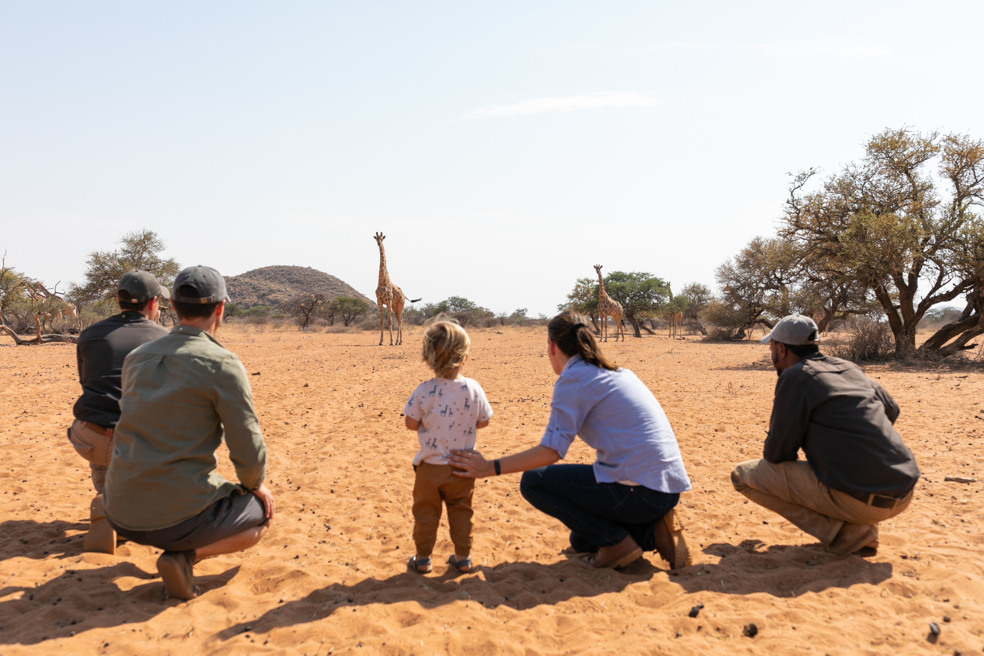 Cape Town, Kalahari and Waterberg