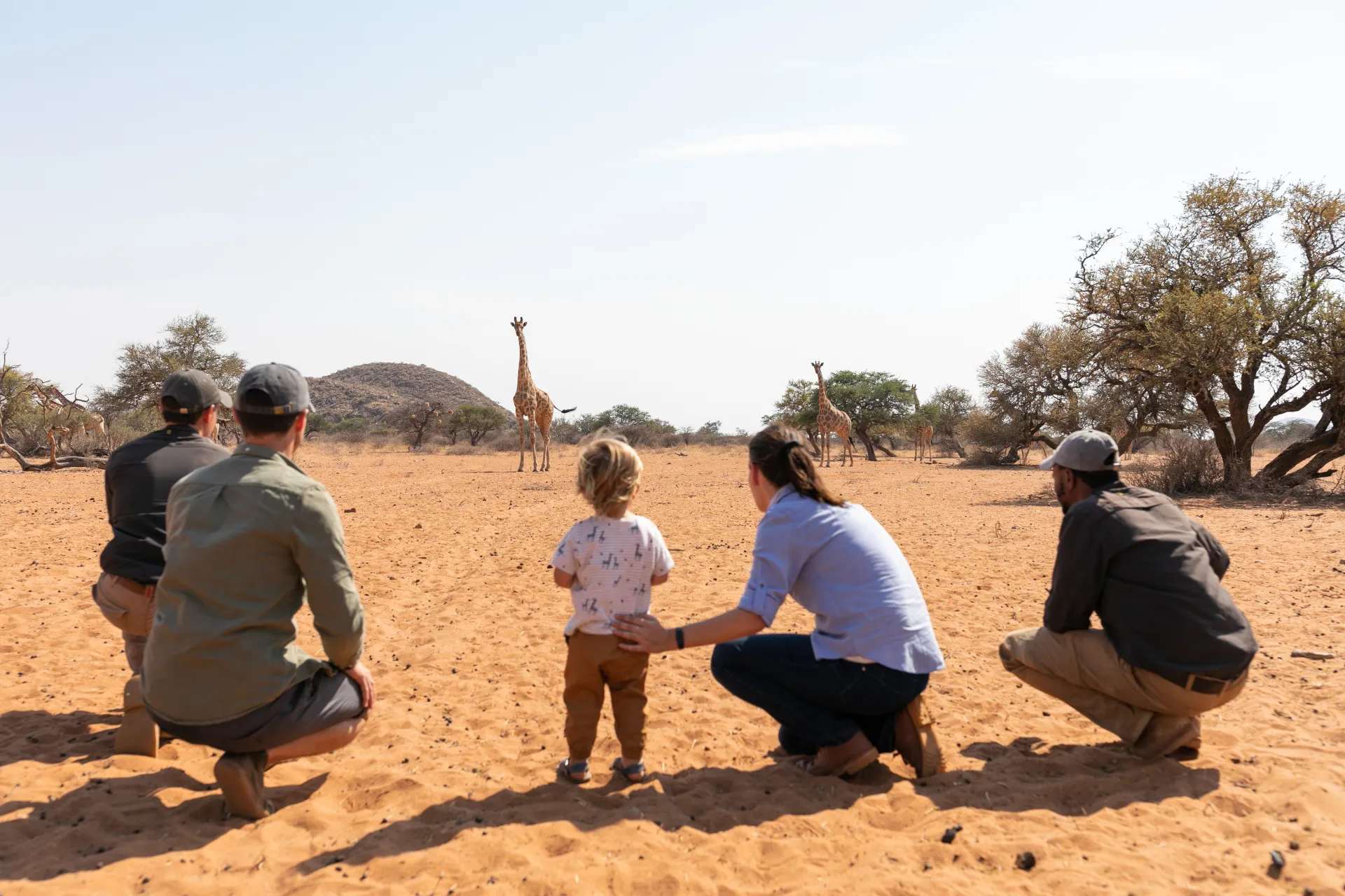 Cape Town, Kalahari and Waterberg