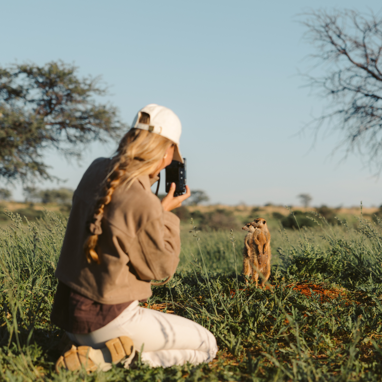 GALLERY Meerkats Natalie Julian Tswalu 0 A8 A4299
