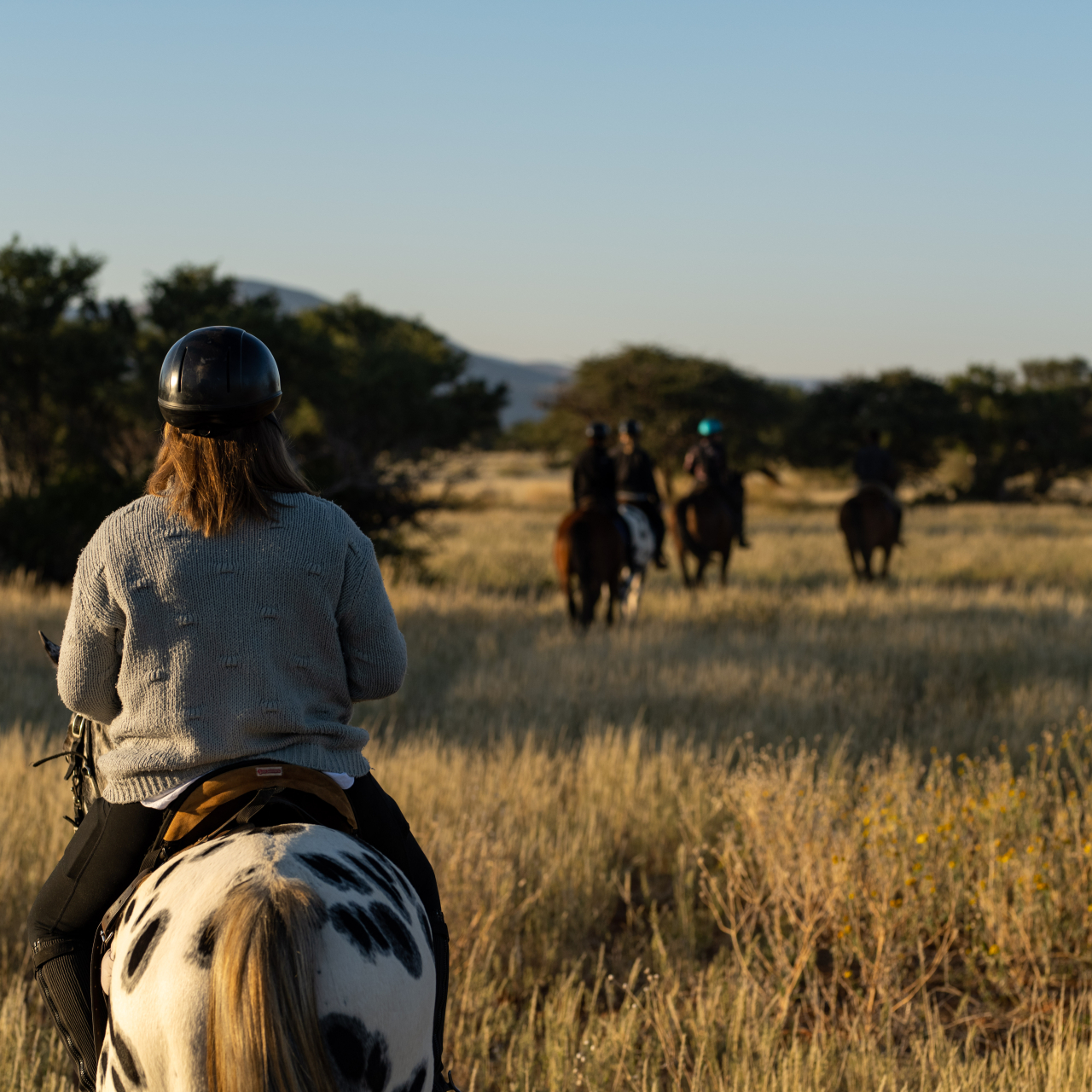 GALLERY Horse Riding Andrew Morgan Tswalu AND 7227