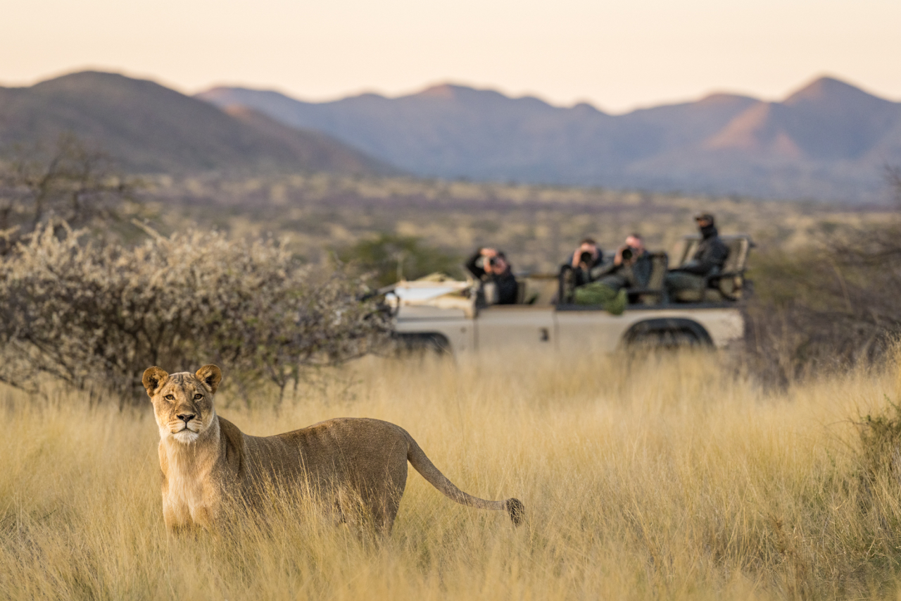 MAIN SHOT Game Drives Marcus Westberg Tswalu