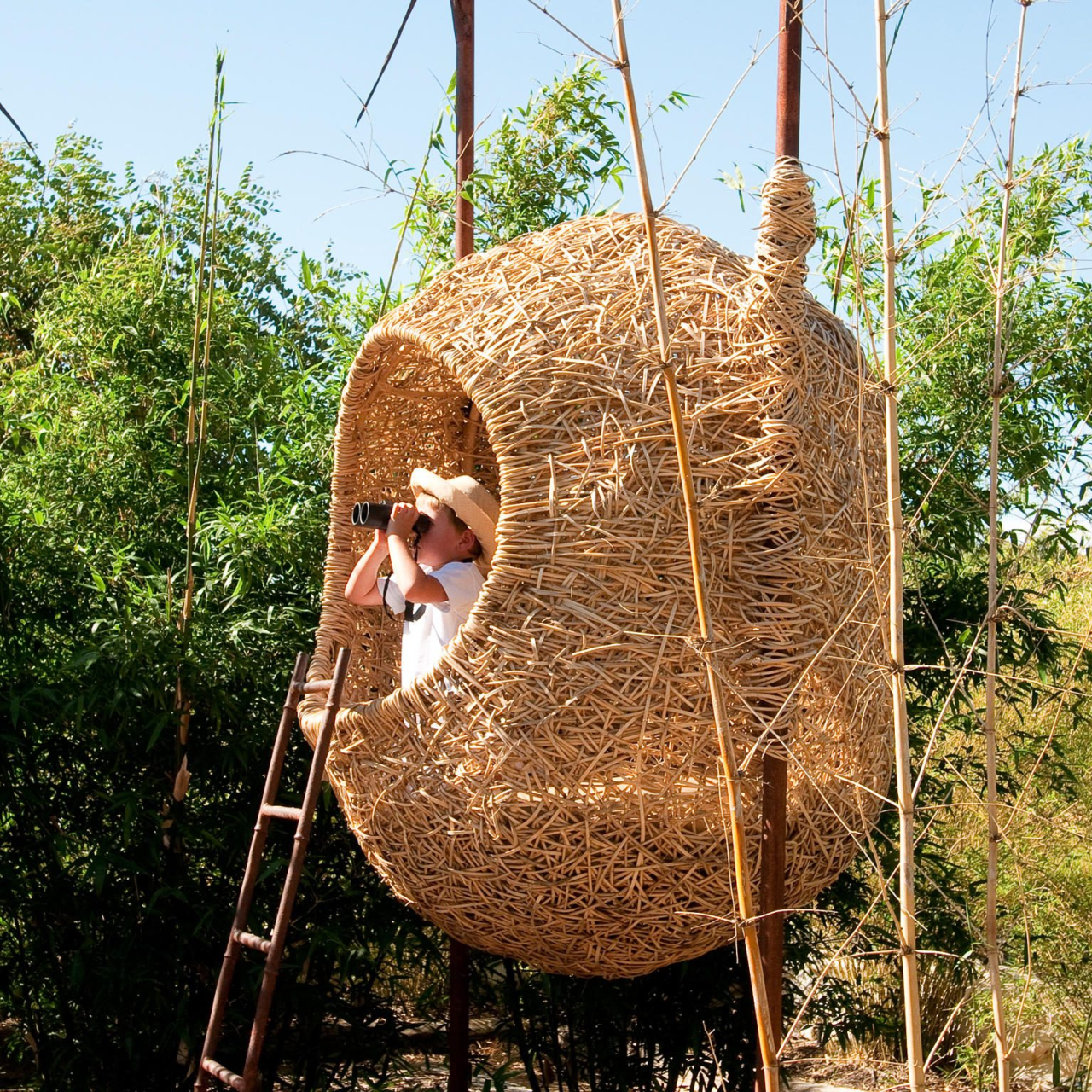 GALLERY Cacoon in the Garden