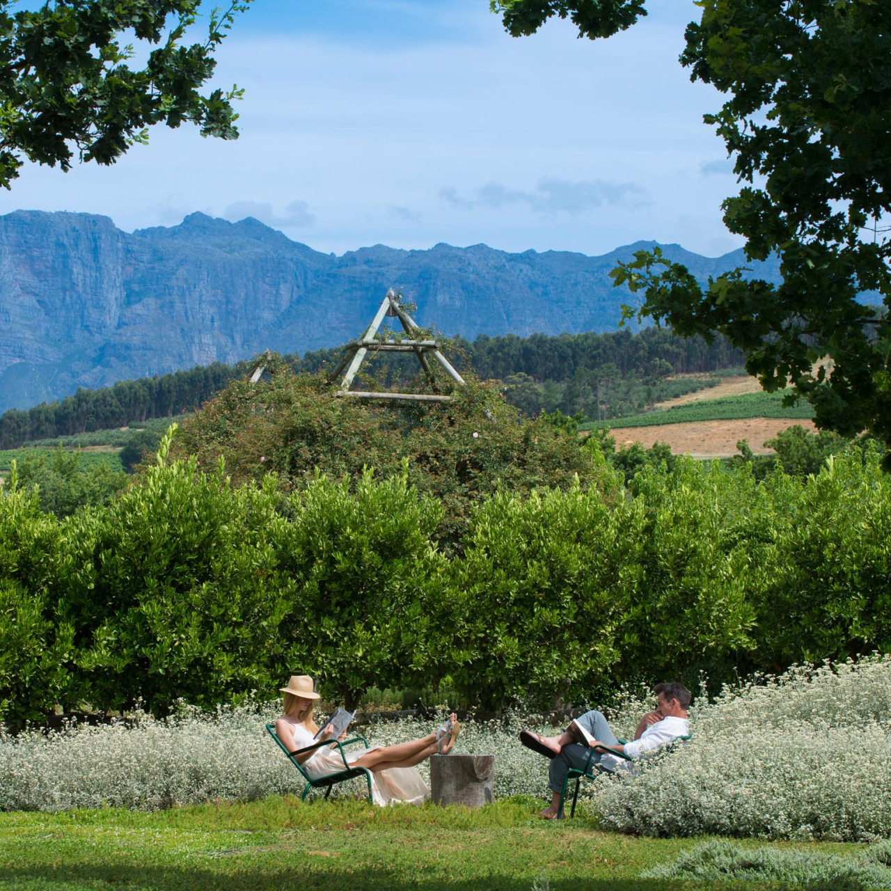 GALLERY Guests relaxing at Babylonstoren