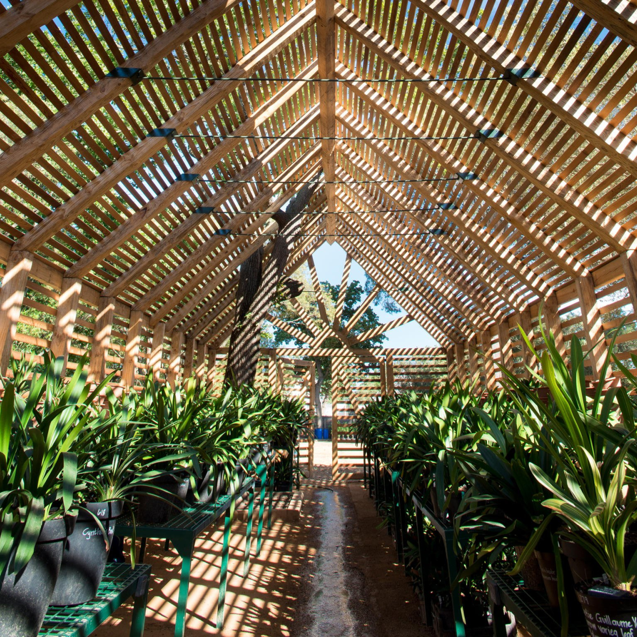 GALLERY Our Clivia House