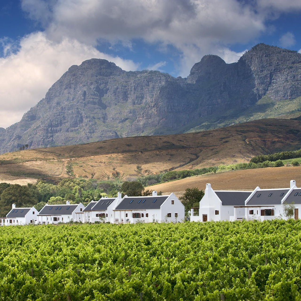 GALLERY on the slopes of the simonsberg