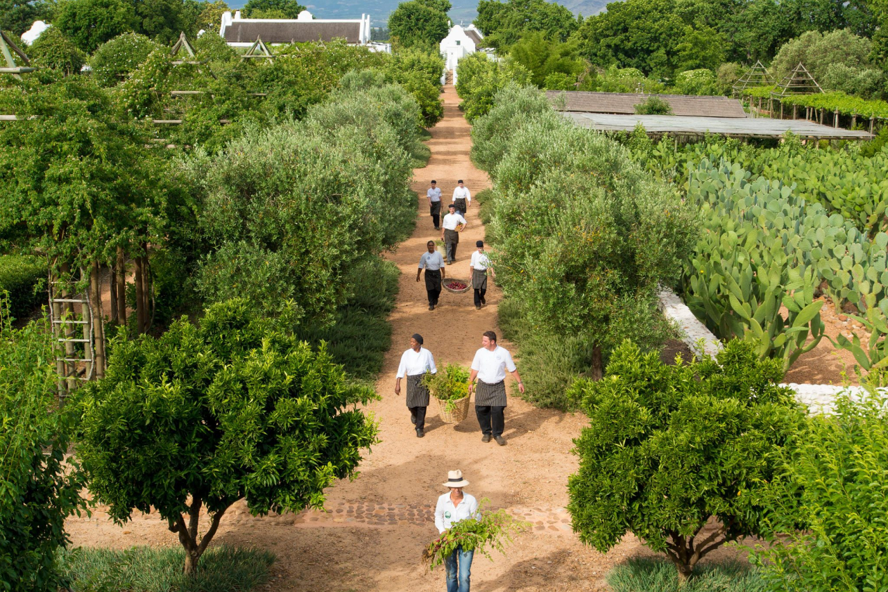 MAIN SHOT Garden from a Birds Eye View
