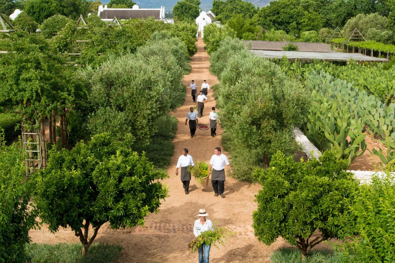 MAIN SHOT Garden from a Birds Eye View