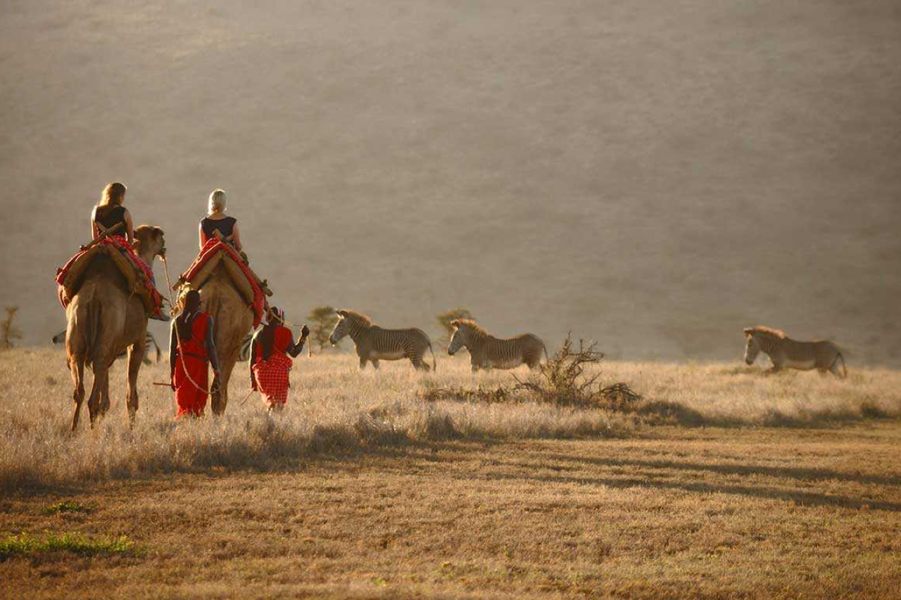 MAIN SHOT Elewana Lewa Safari Camp Camel Trekking