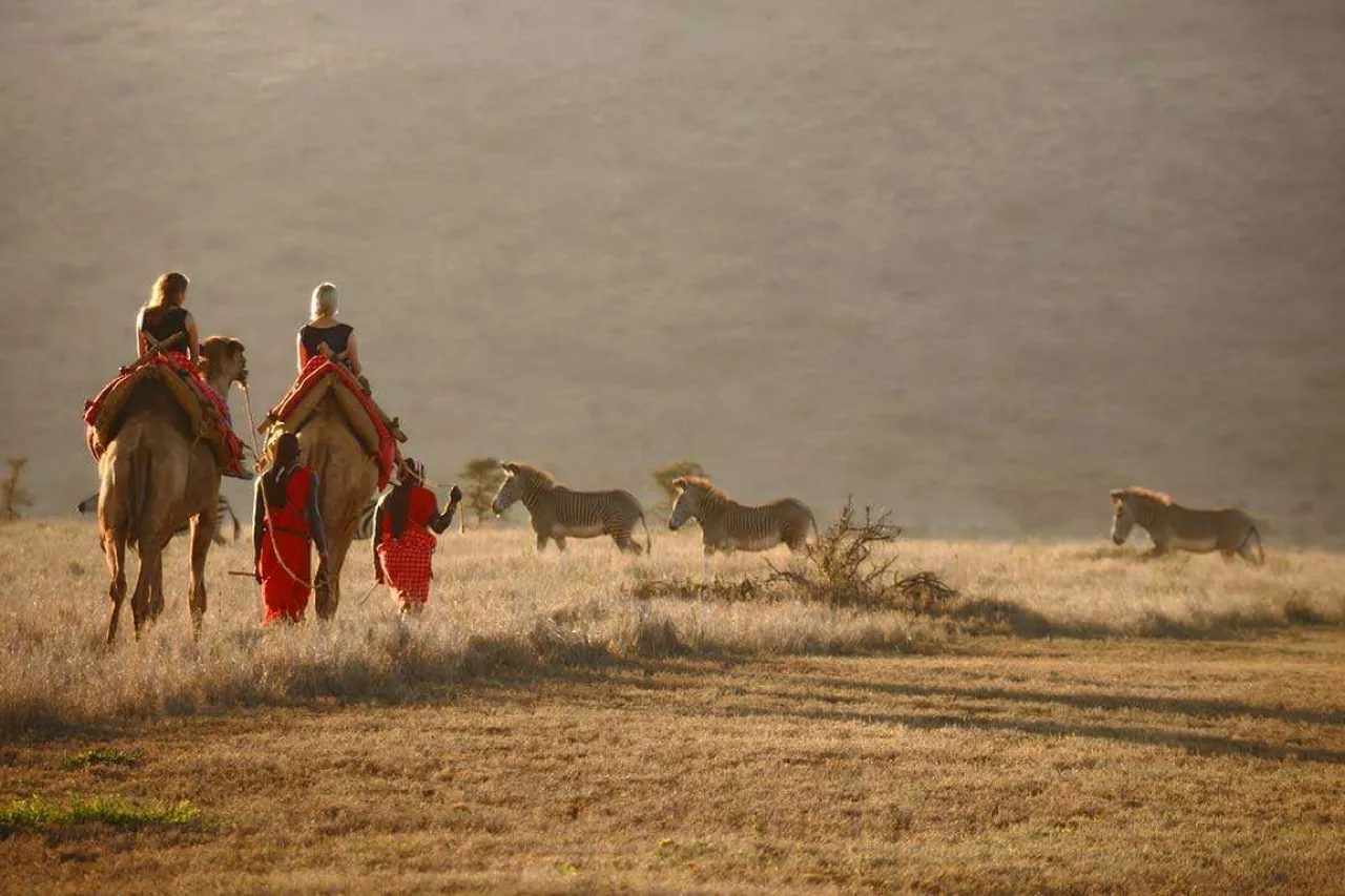 MAIN SHOT Elewana Lewa Safari Camp Camel Trekking