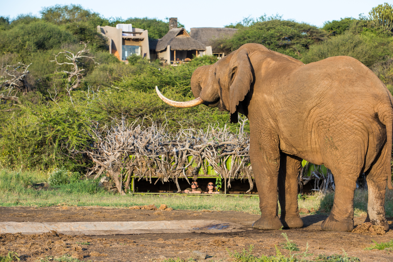 LODGE SHOT Great Plains Kenya ol Donyo Lodge 10