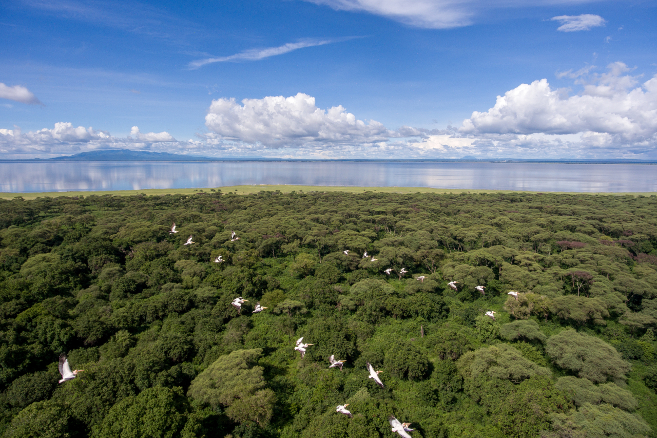 MAIN SHOT Tanzania Lake Manyara Tree Lodge Aerial views 2