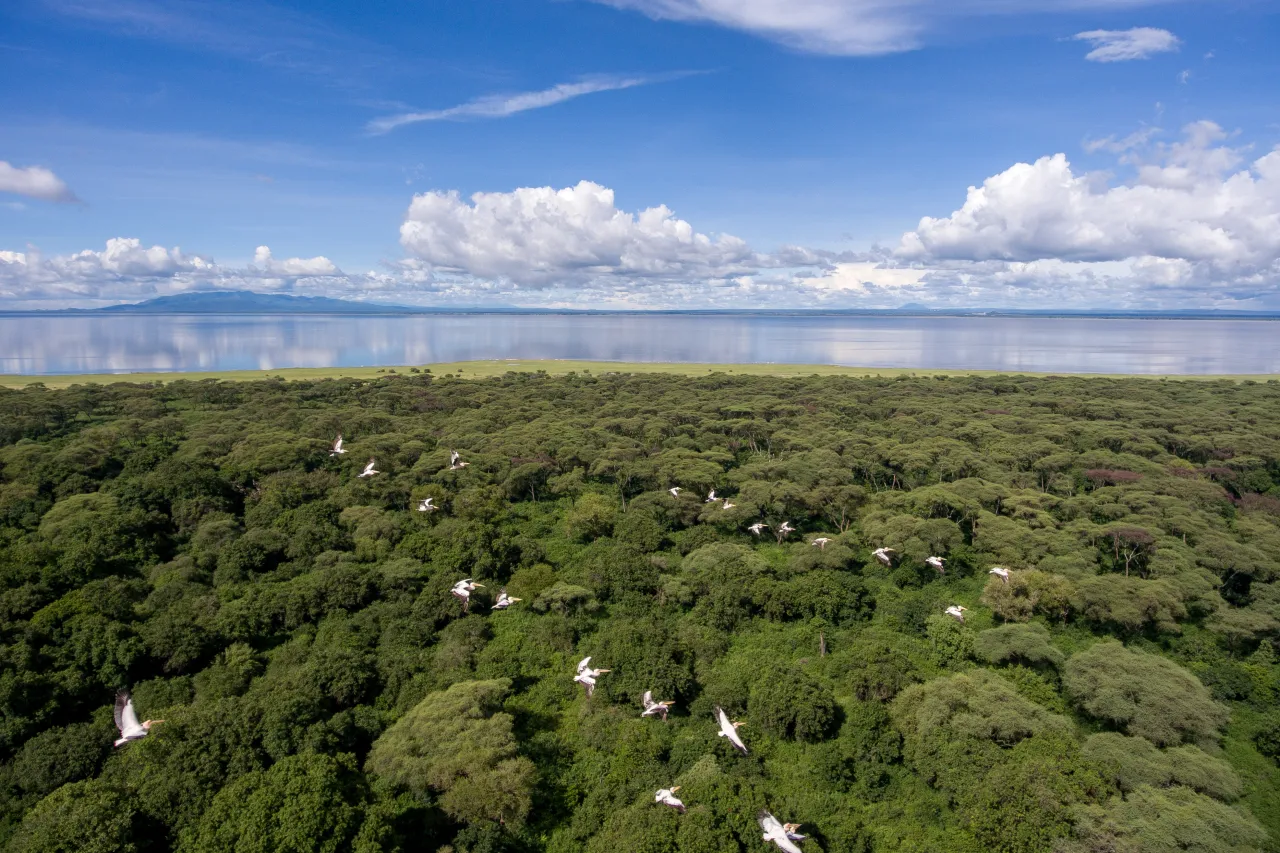 MAIN SHOT Tanzania Lake Manyara Tree Lodge Aerial views 2