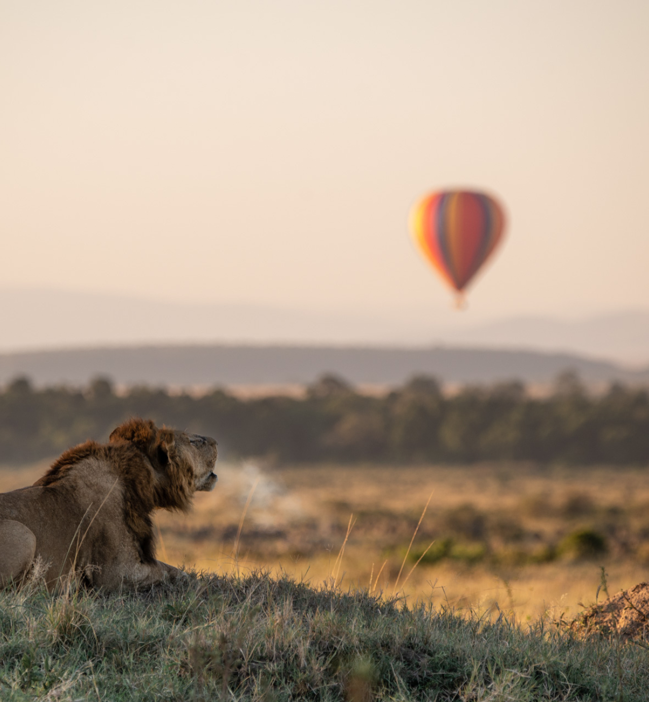 Mountains, savannahs and wild Africa