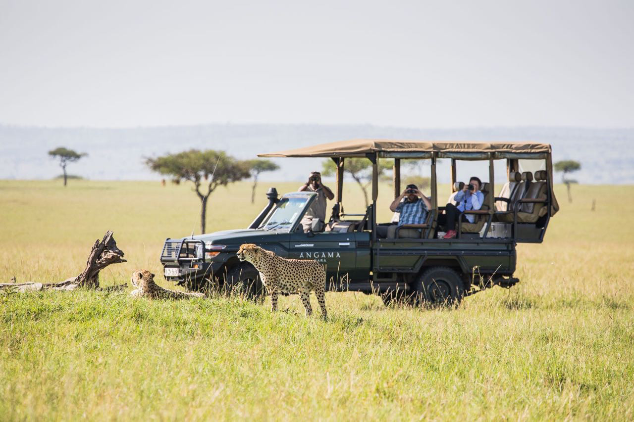 MAIN SHOT Angama vehicle and cheetah 1 lhdtzc