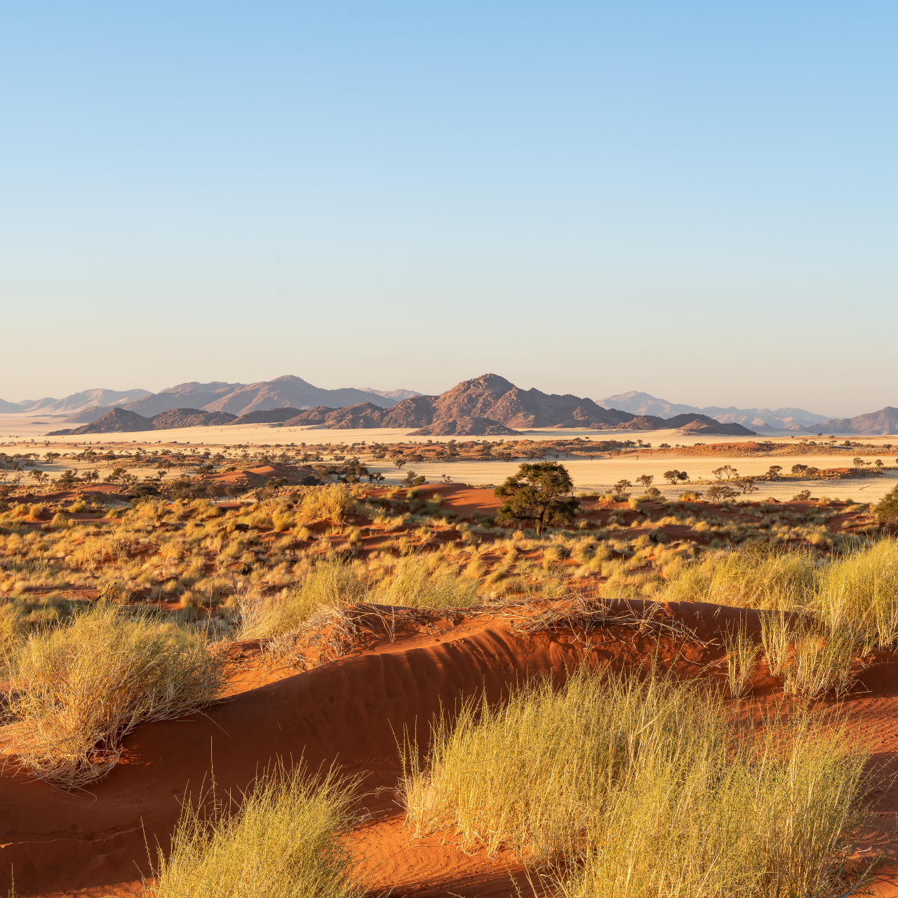 Copy of Namib Rand option 2