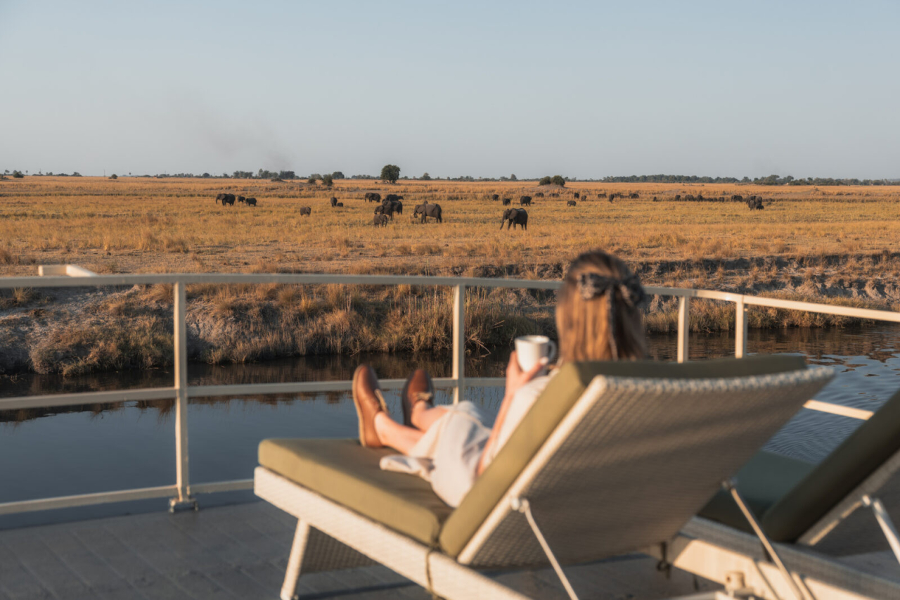 GALLERY Chobe Princess Game Viewing fr