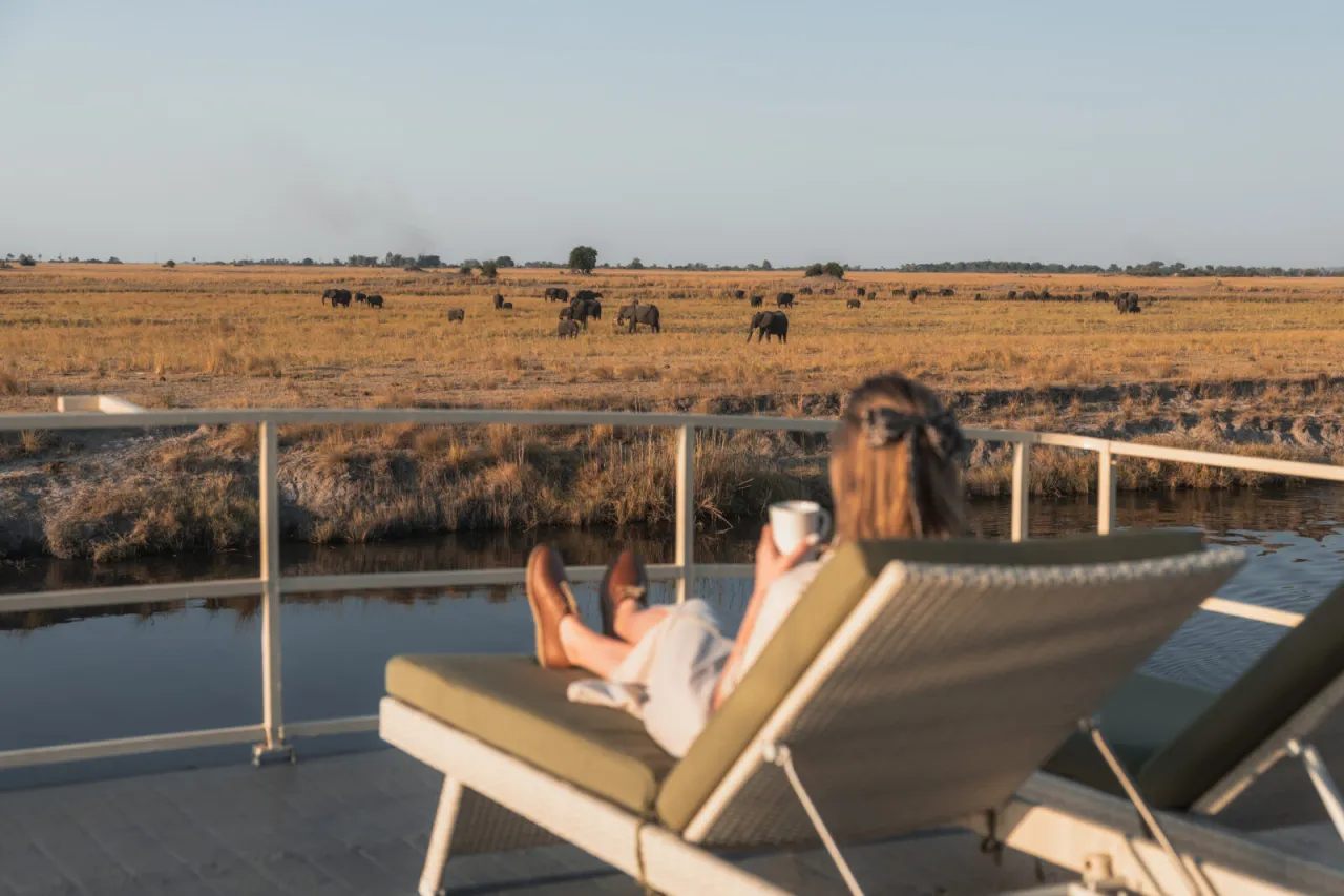 GALLERY Chobe Princess Game Viewing fr