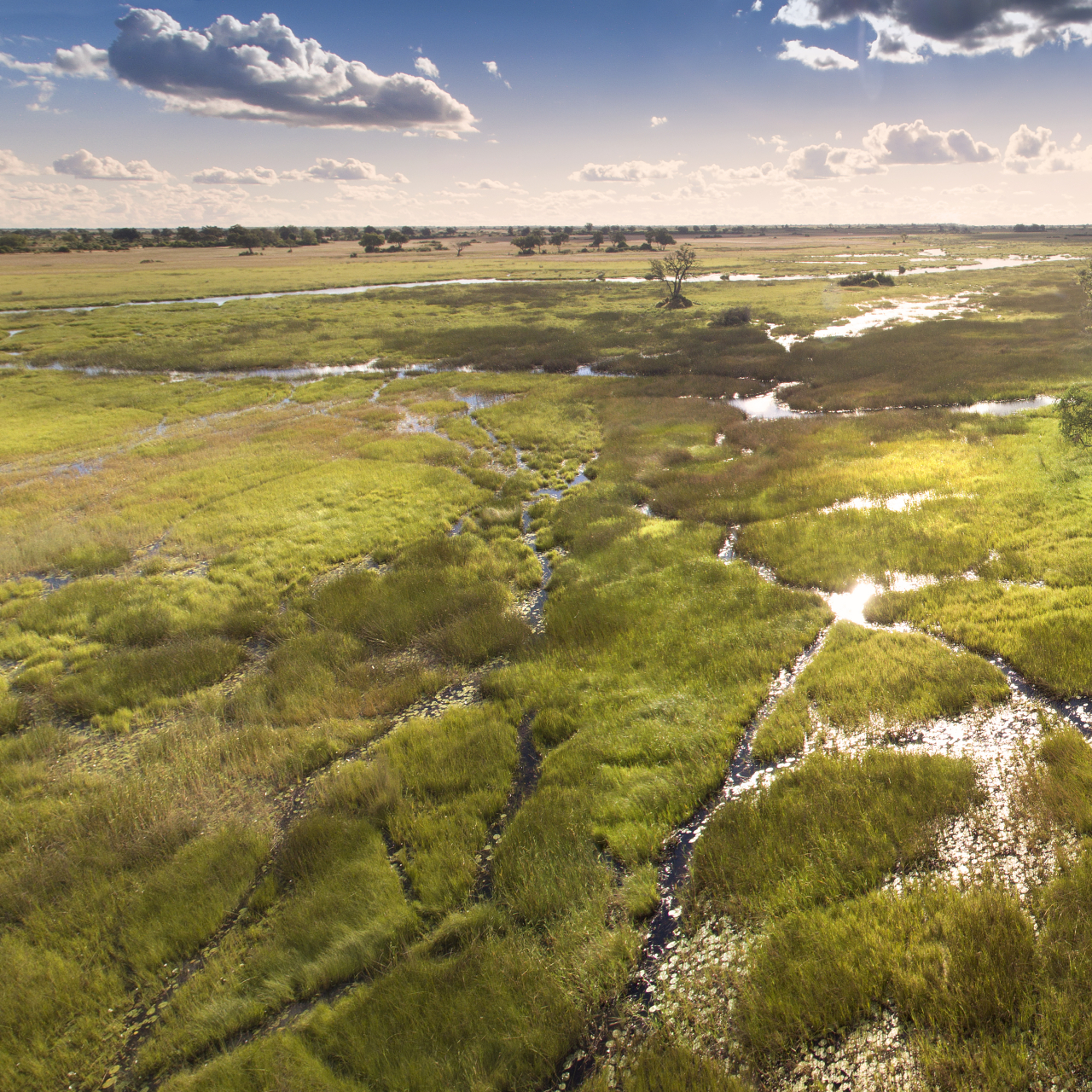 GALLERY Duba Plains Great Plans 2