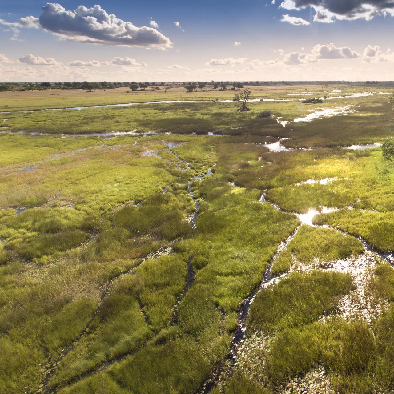 GALLERY Duba Plains Great Plans 2
