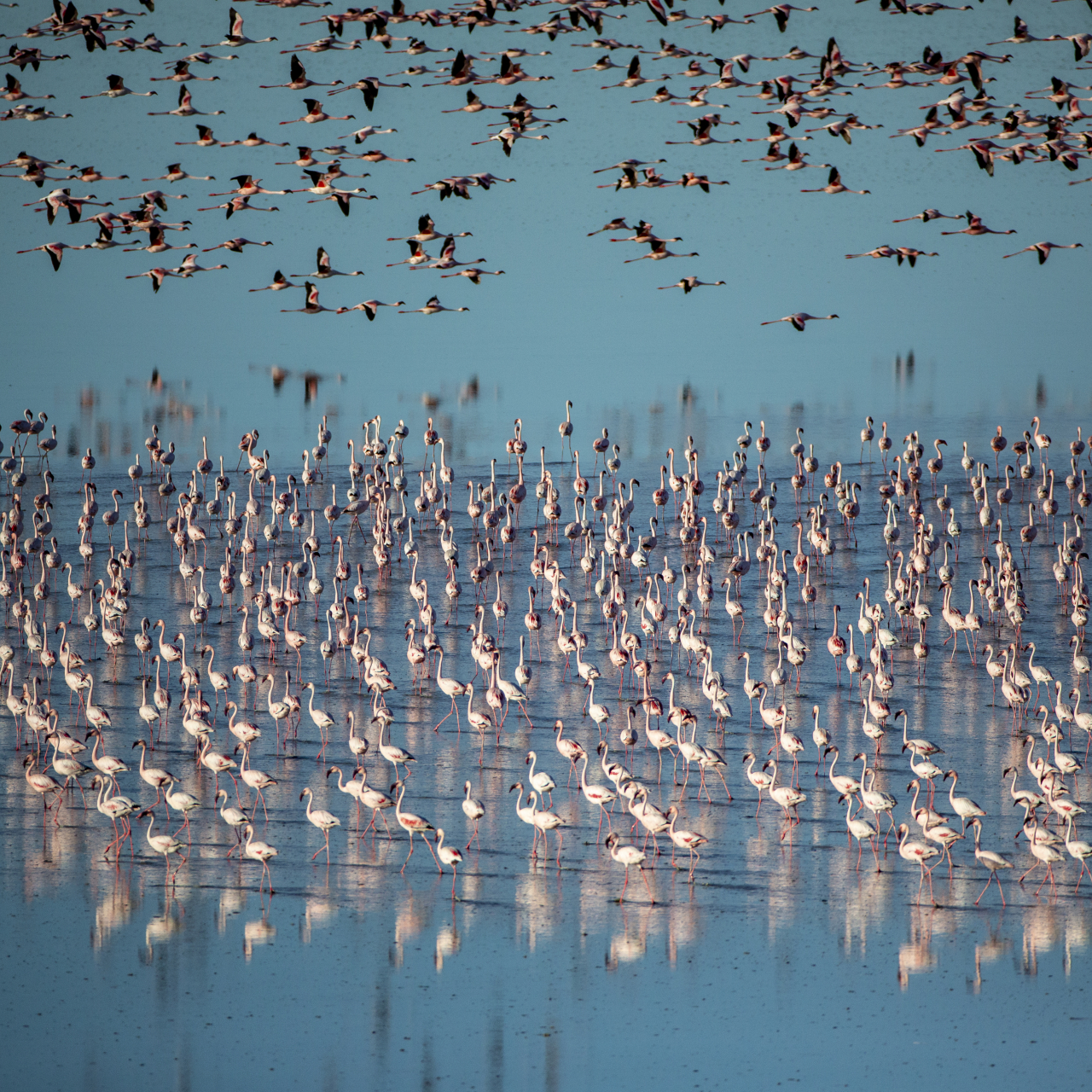 GALLERY Great Plains Jacks Camp12