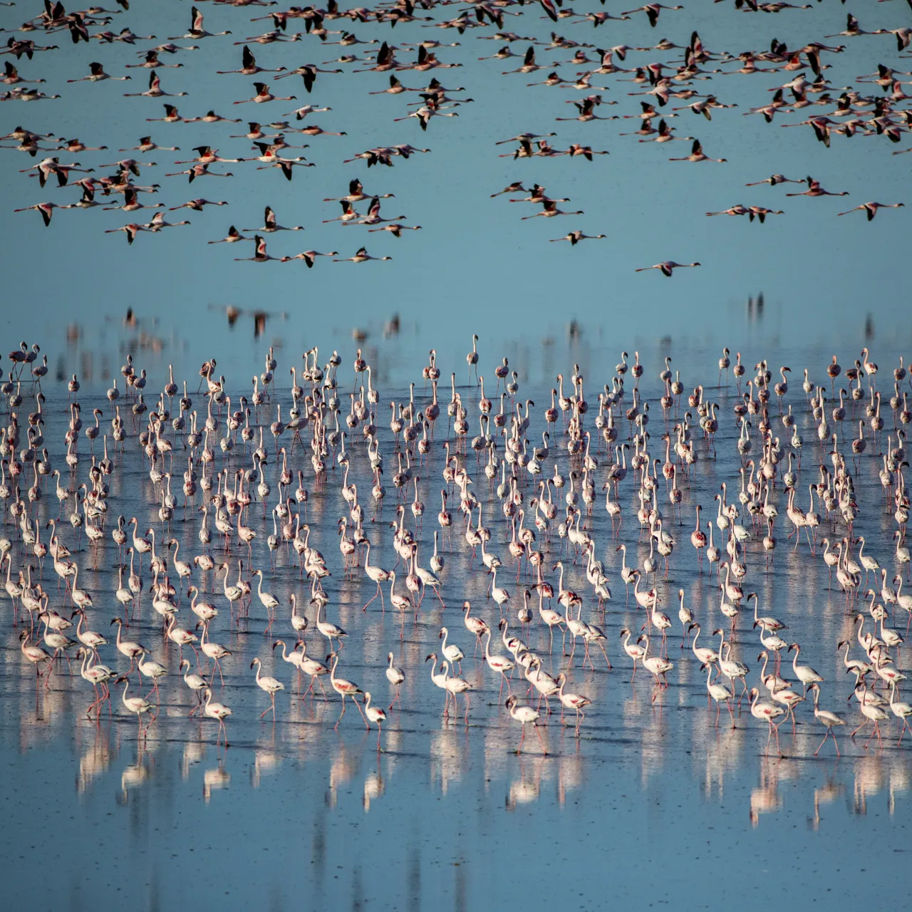 GALLERY Great Plains Jacks Camp12