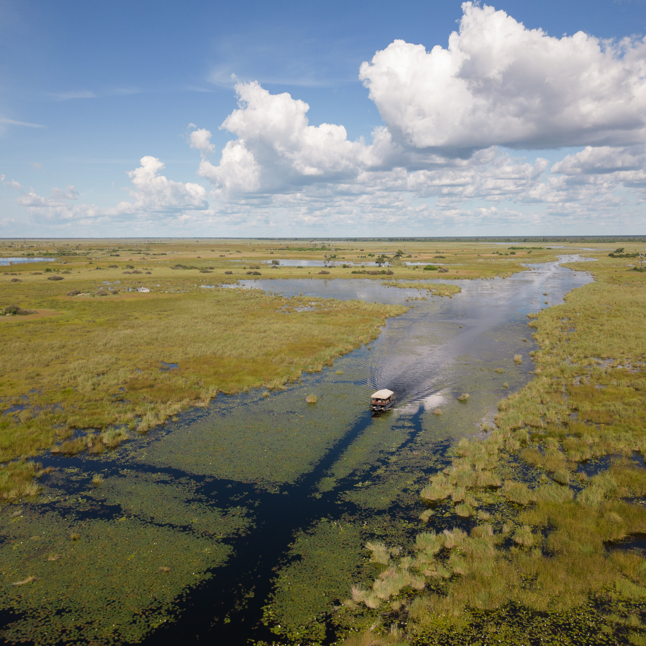 GALLERY Great Plains Zarafa Camp 16