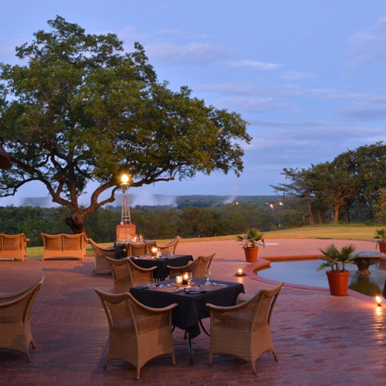 GALLERY Food Beverage Jungle Junct