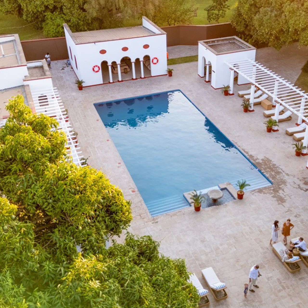 GALLERY TVFH pool DJI 20241017234