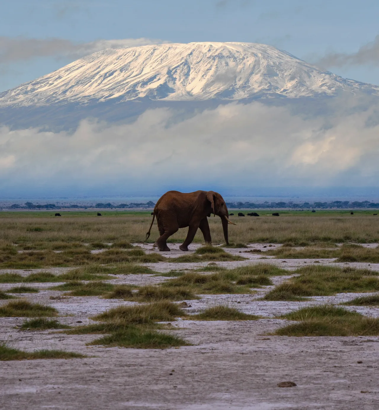 The largest wildlife spectacle on earth