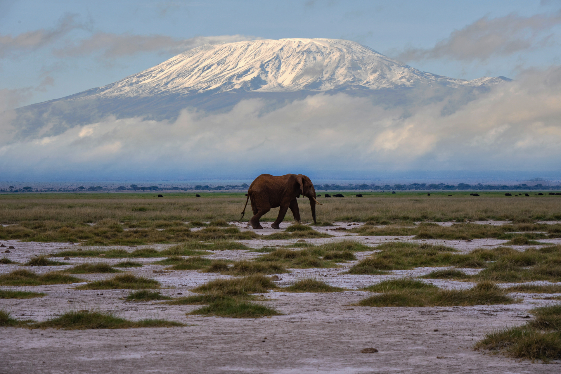 The largest wildlife spectacle on earth