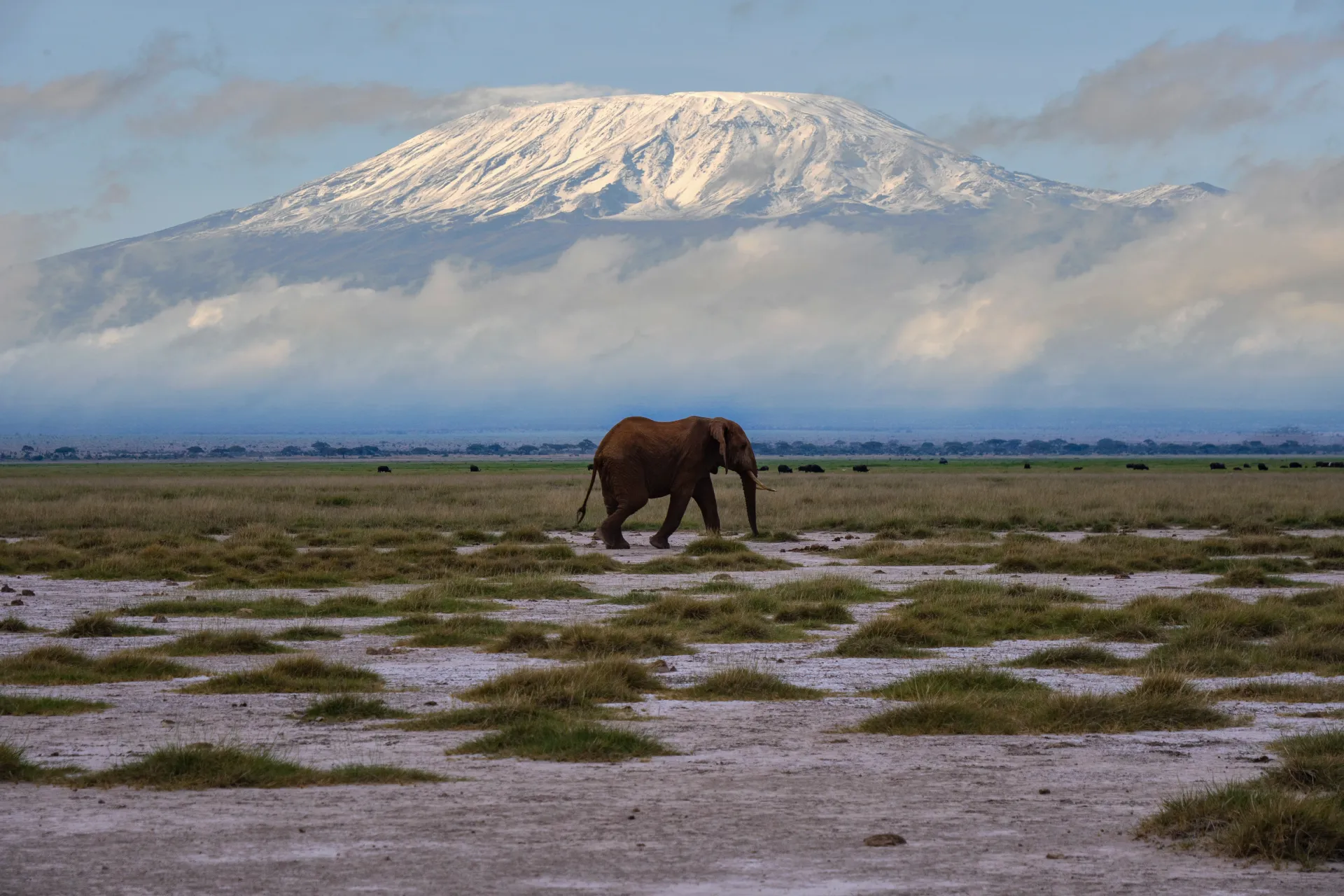 The largest wildlife spectacle on earth