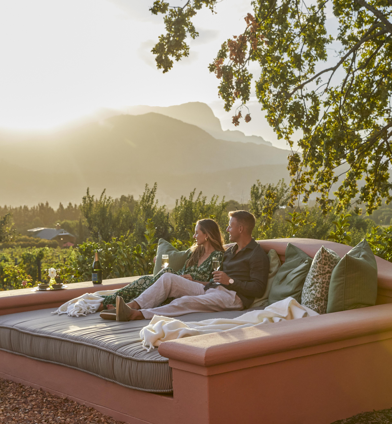 The Cape, the vines and the wild