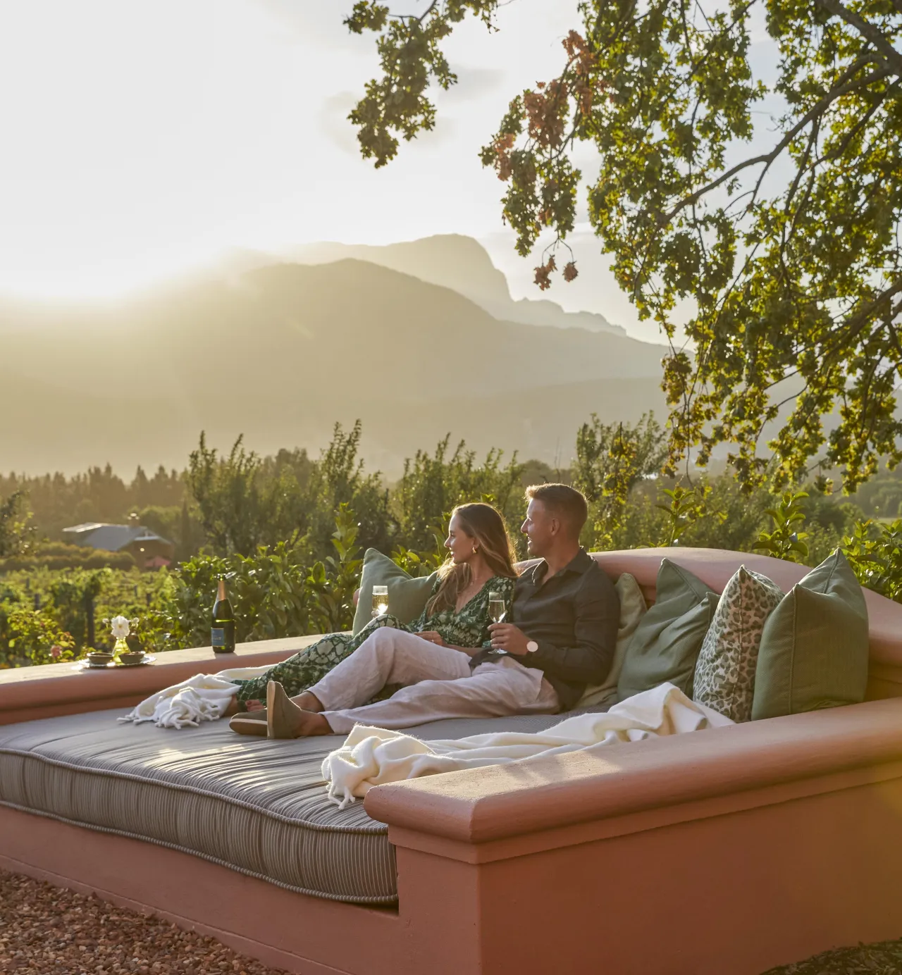 The Cape, the vines and the wild