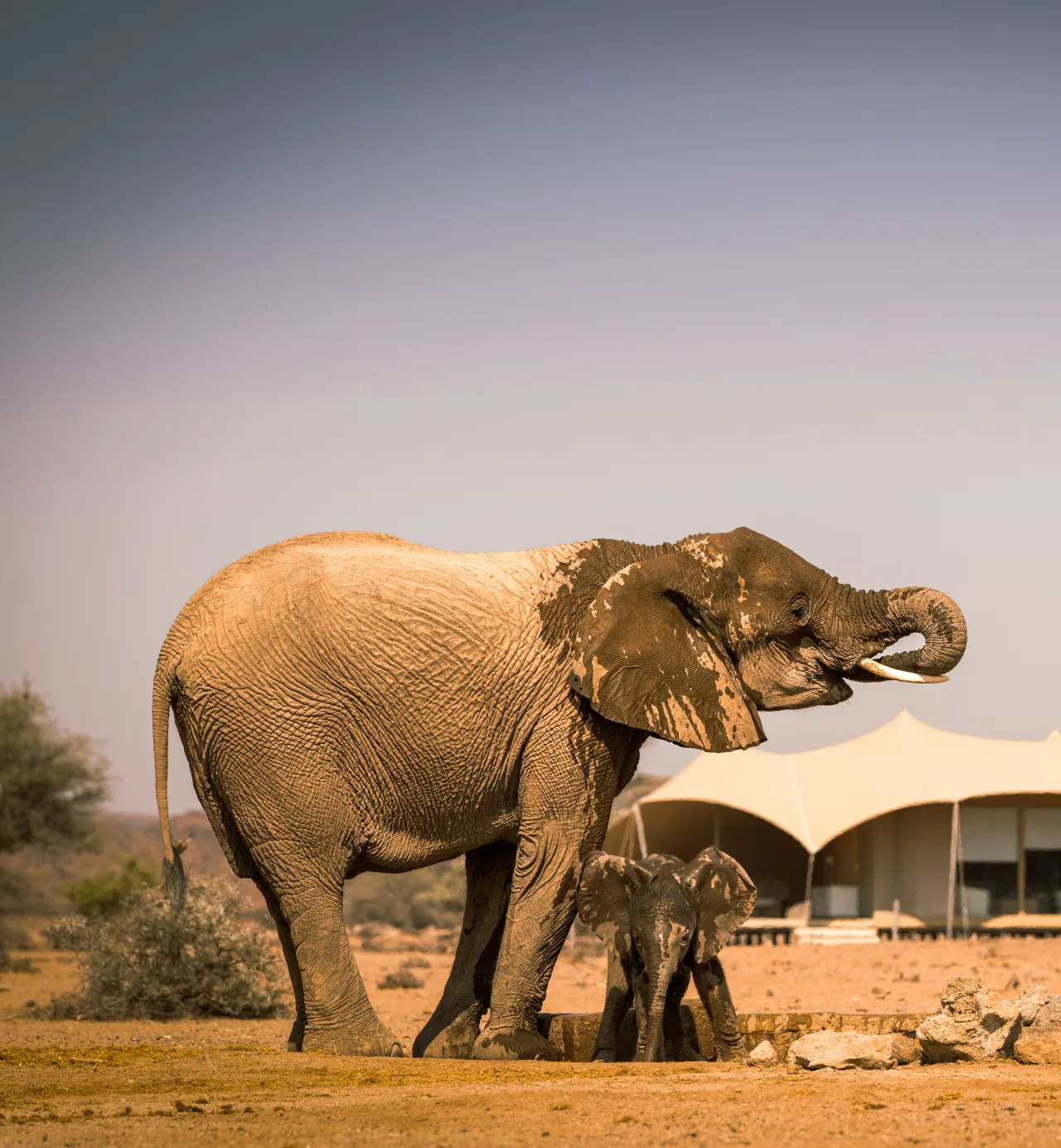Desert, shipwrecks and wildlife