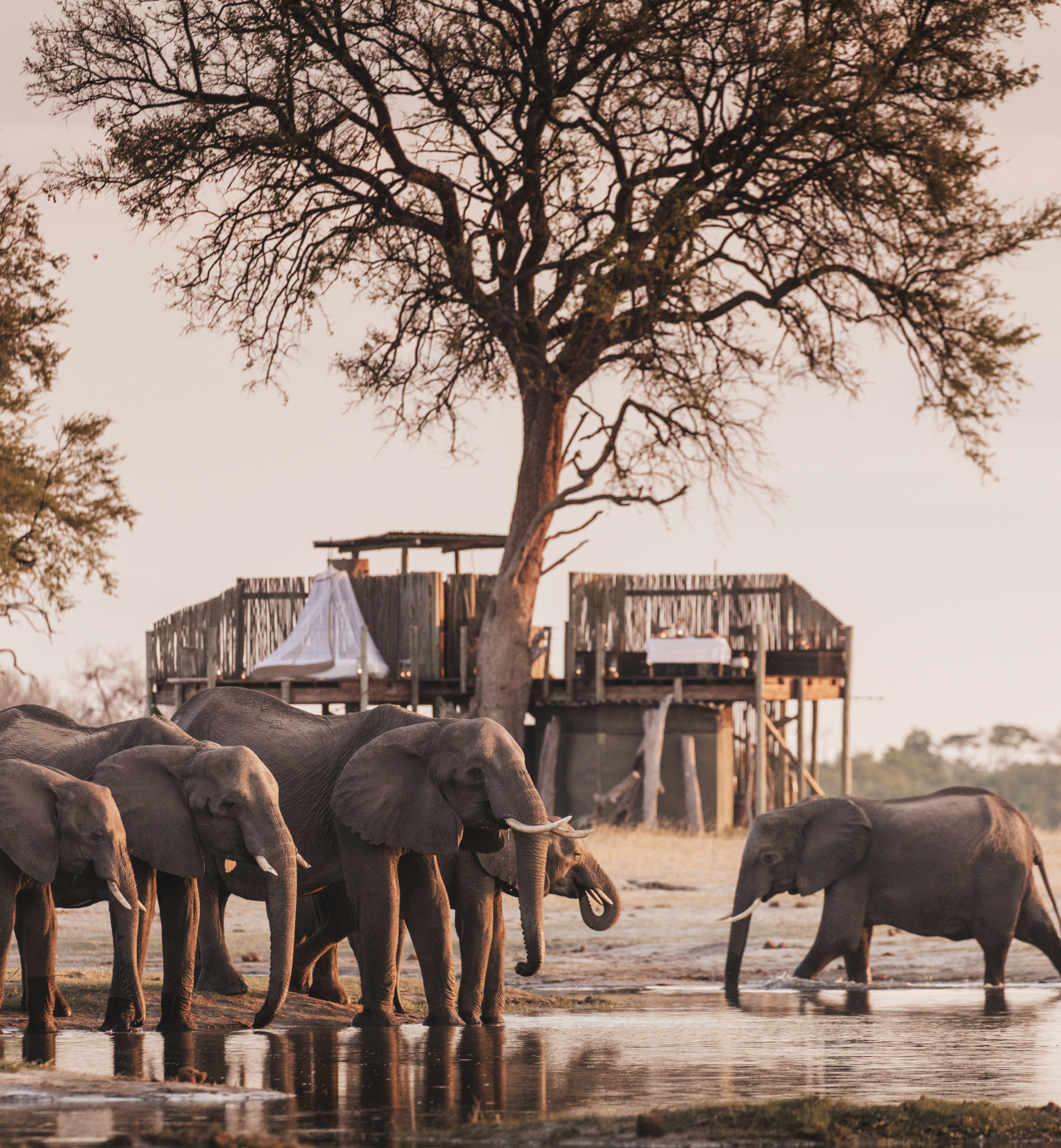 Wildlife, culture and a waterfall