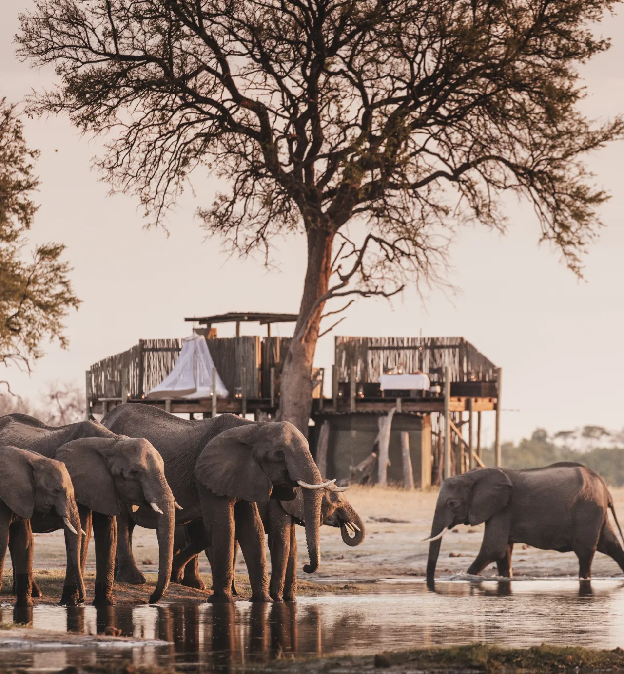 Wildlife, culture and a waterfall