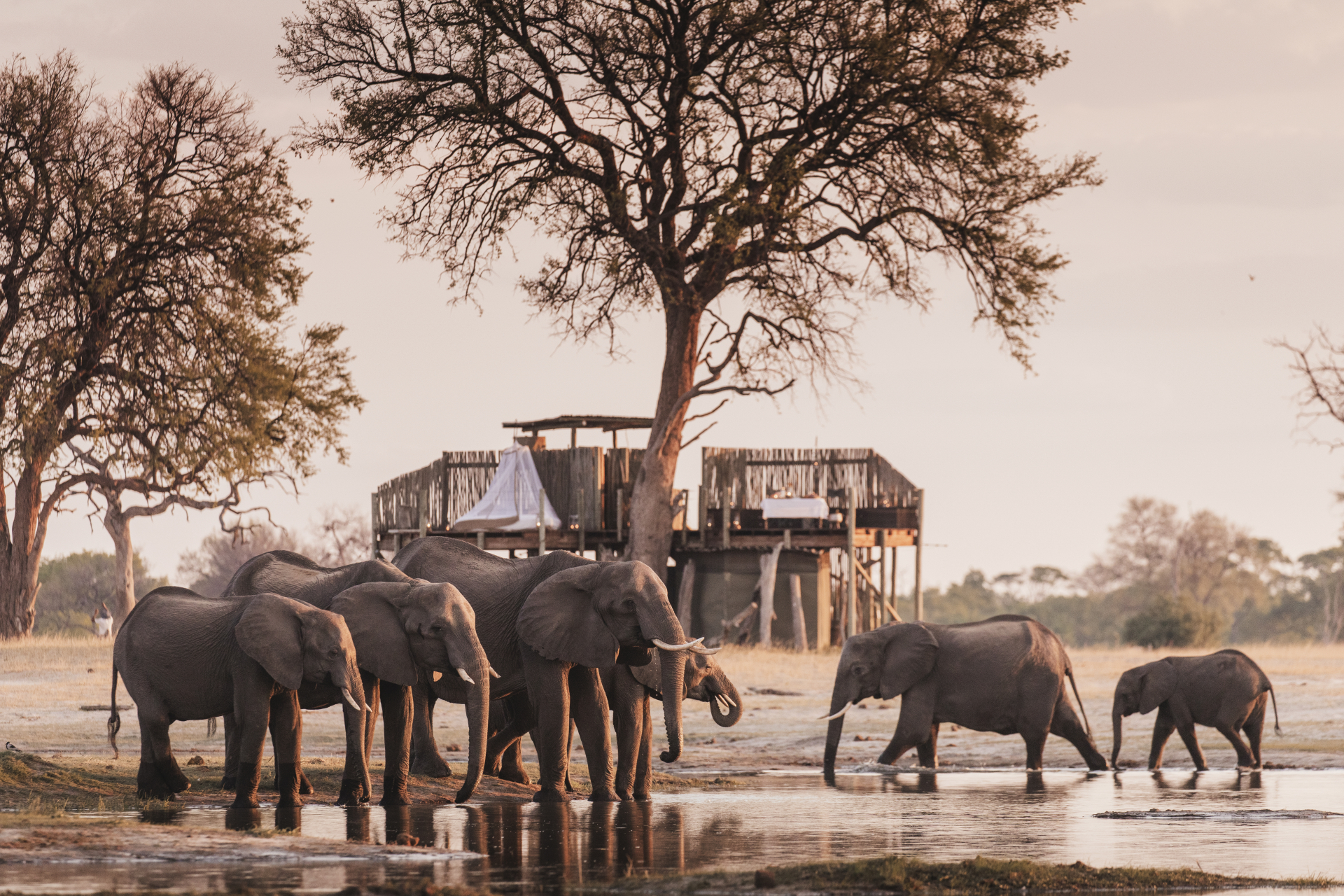 Wildlife, culture and a waterfall