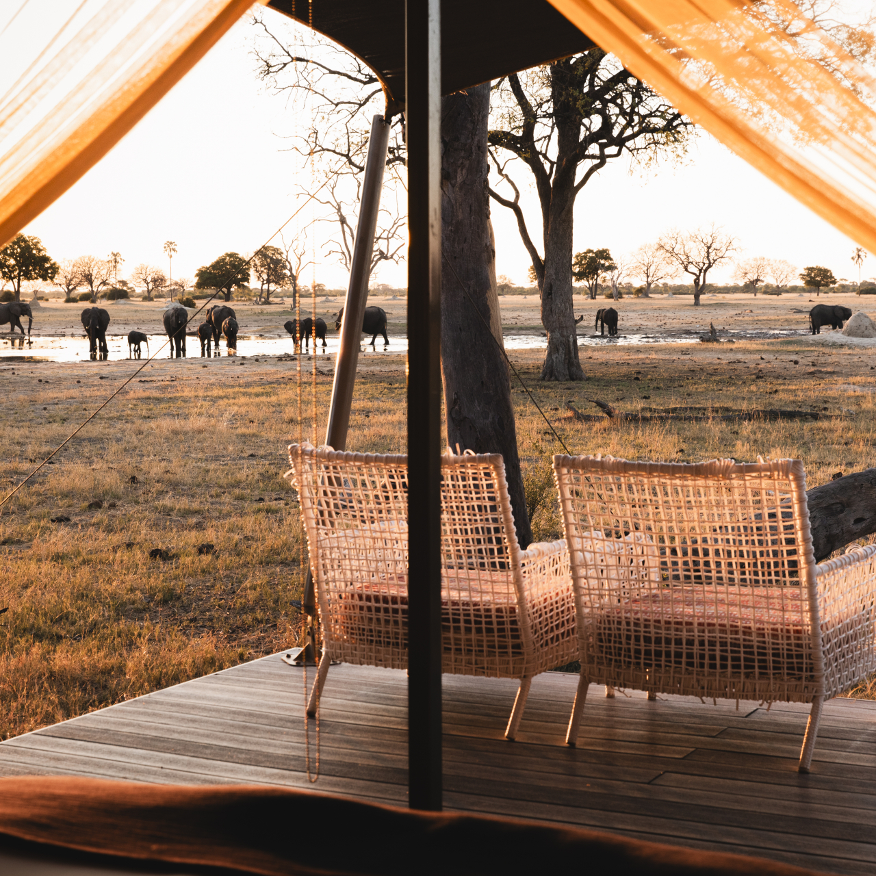 GALLERY Wilderness Linkwasha 1