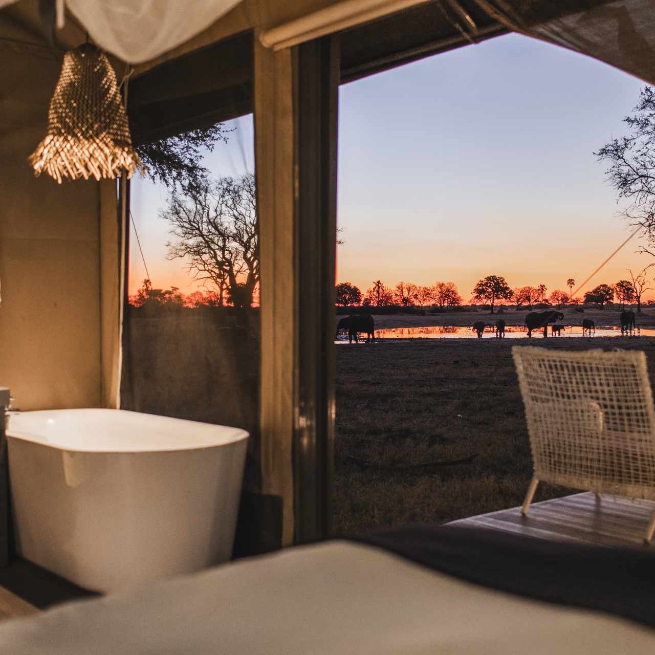 LODGE SHOT Wilderness Linkwasha 5