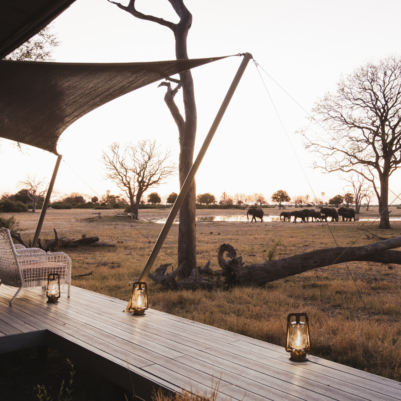 GALLERY Wilderness Linkwasha 3