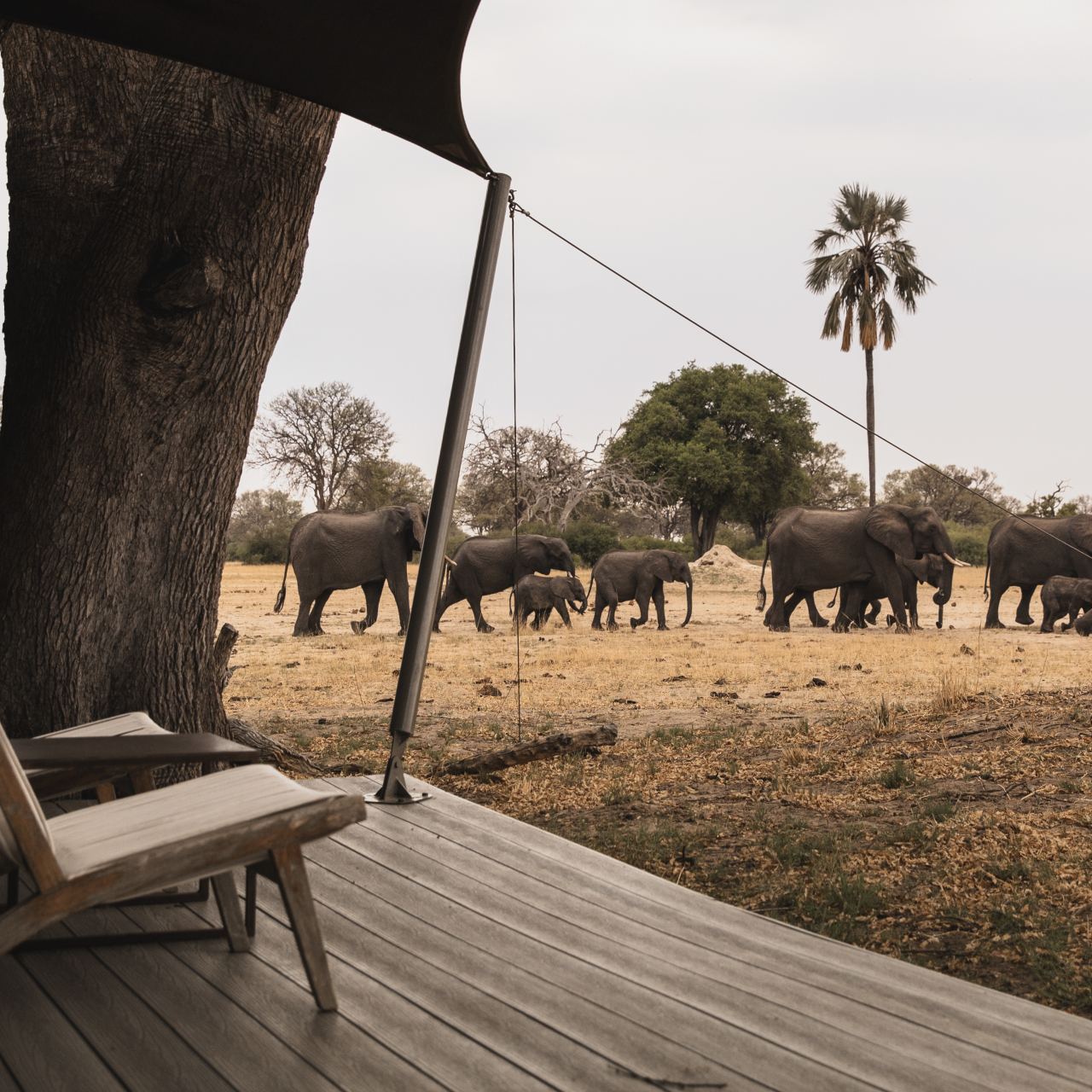 GALLERY Wilderness Linkwasha 8