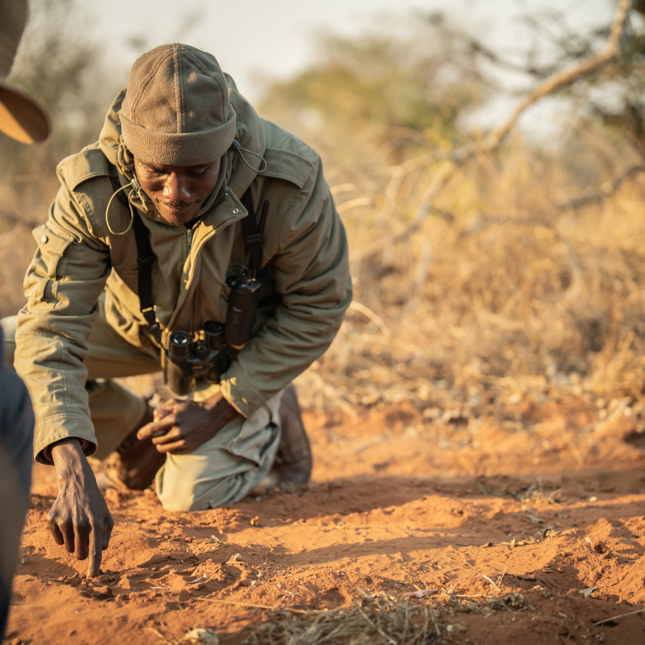 GALLERY Singita Malilangwe Guided Bush Walk