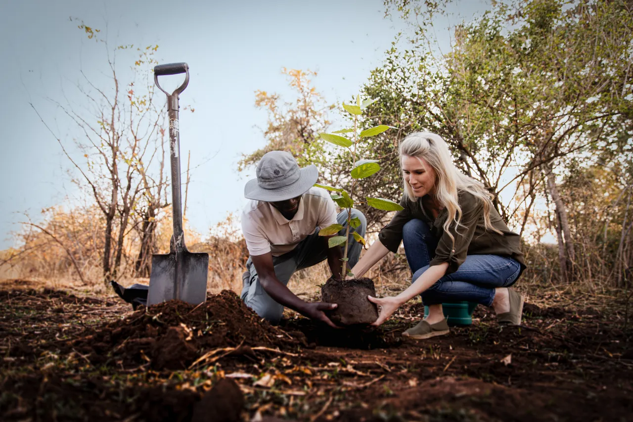 For you, for Africa. Your Africa