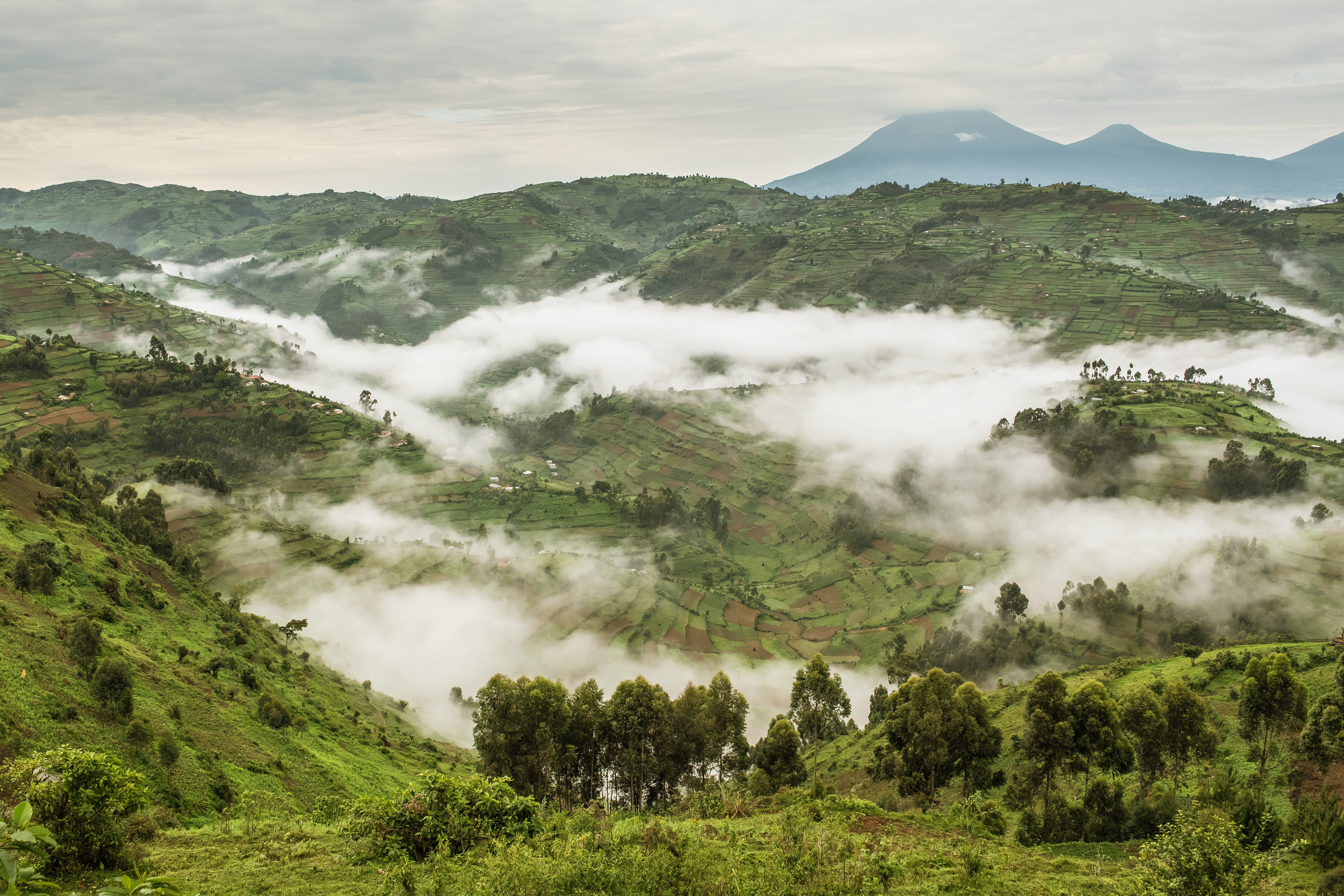 Sustainable tourism