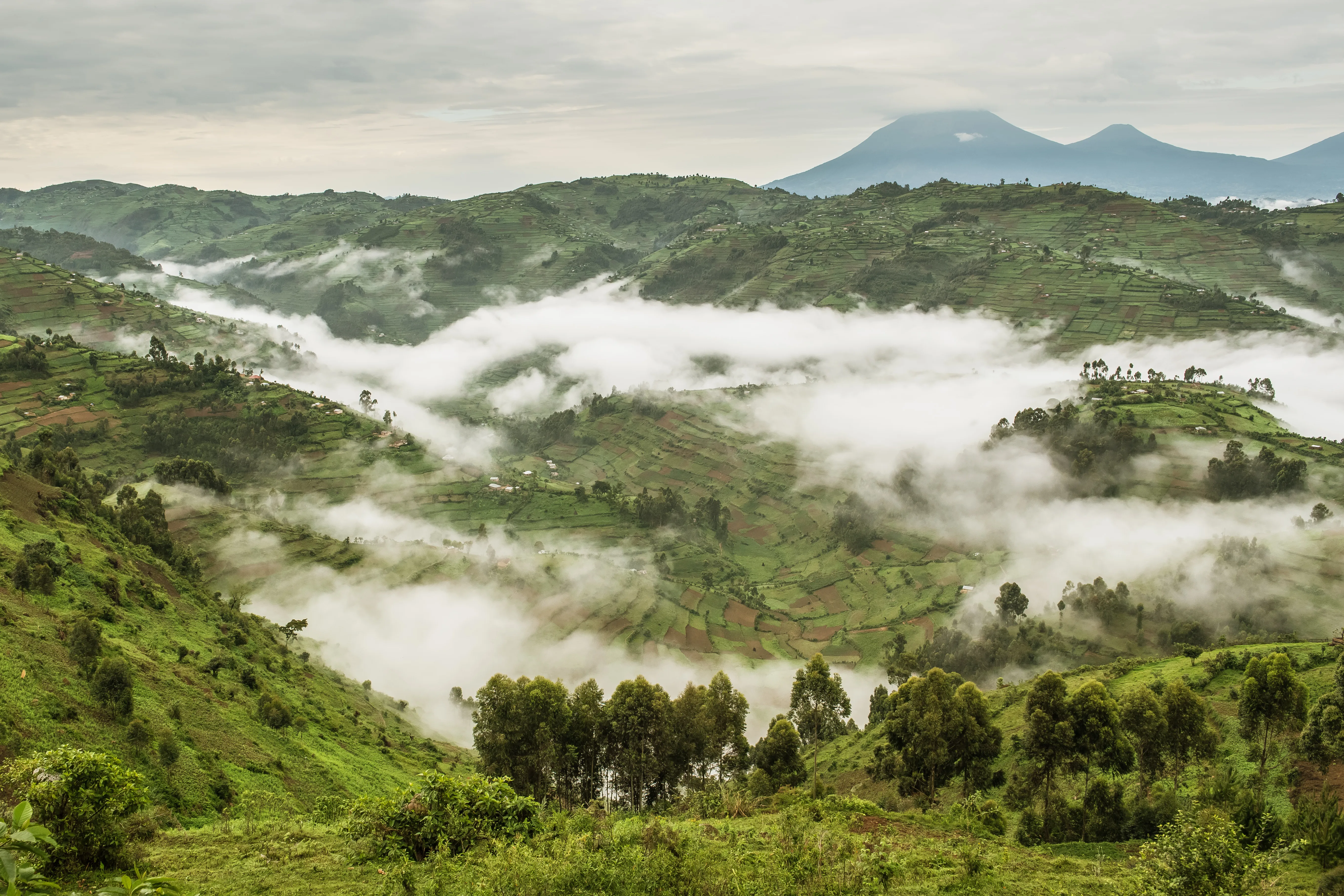 Sustainable tourism